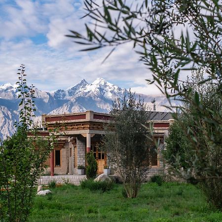 Lchang Nang Retreat-The House Of Trees-Nubra Valley Hotel Sumur Exterior photo